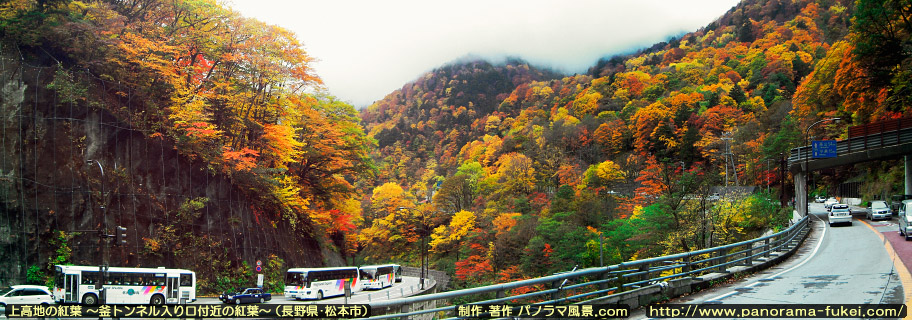 上高地の紅葉「釜トンネル入り口付近の紅葉」