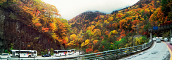 上高地の紅葉「釜トンネル入り口付近の紅葉」のパノラマ風景写真