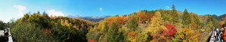 乗鞍高原の黄葉・紅葉のパノラマ風景写真