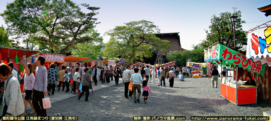 曼陀羅寺 江南藤まつりのパノラマ風景写真