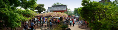 曼陀羅寺公園「江南藤まつり」のパノラマ風景写真(3)