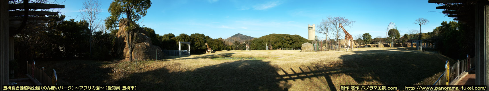 豊橋総合動植物公園（のんほいパ－ク）「アフリカ園」のパノラマ風景写真