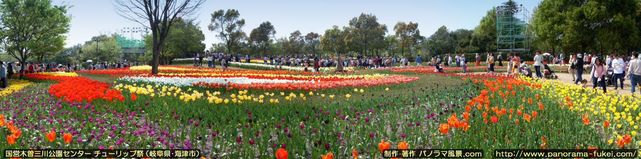 国営木曽三川公園センター チューリップ祭のパノラマ風景写真