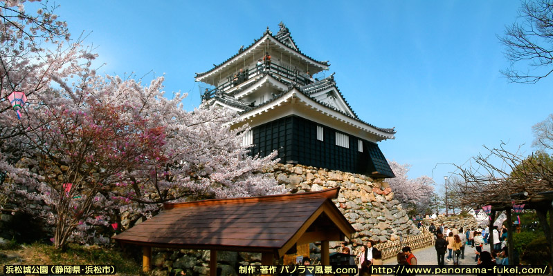 春の浜松城公園 「浜松城天守閣と満開の桜(2)」