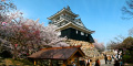 浜松城公園の桜のパノラマ風景写真