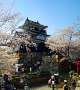 「浜松城天守閣と満開の桜」のパノラマ風景写真(4)