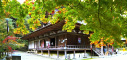 湖東三山 西明寺のパノラマ風景写真