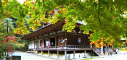 湖東三山 西明寺のパノラマ風景