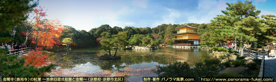 金閣寺の紅葉「池泉回遊式庭園の紅葉と金閣のパノラマ写真」