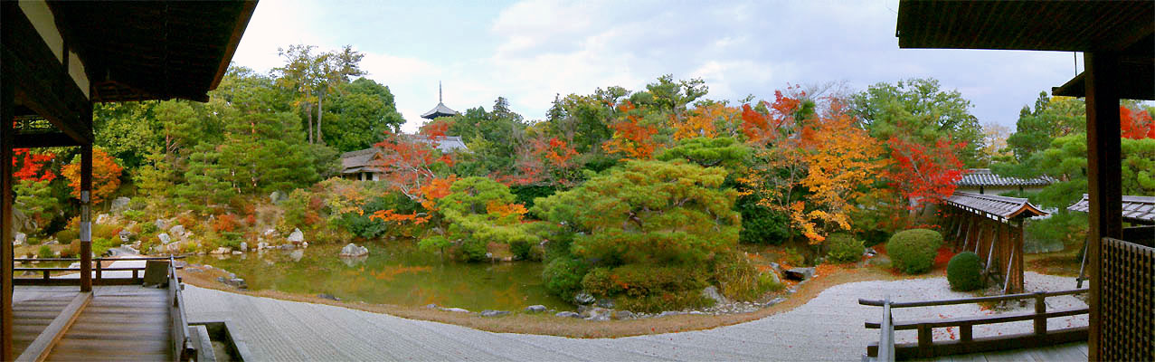 仁和寺の紅葉「宸殿（しんでん）の北庭の全景パノラマ写真」