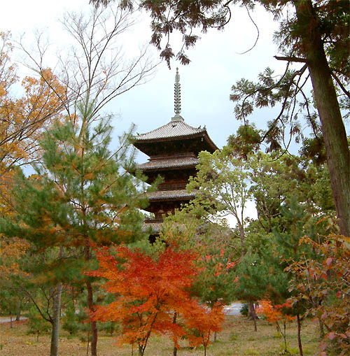 仁和寺の紅葉「五重塔」