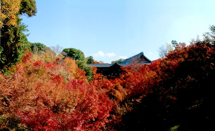 東福寺の紅葉「臥雲橋から見た通天橋と紅葉のパノラマ写真」