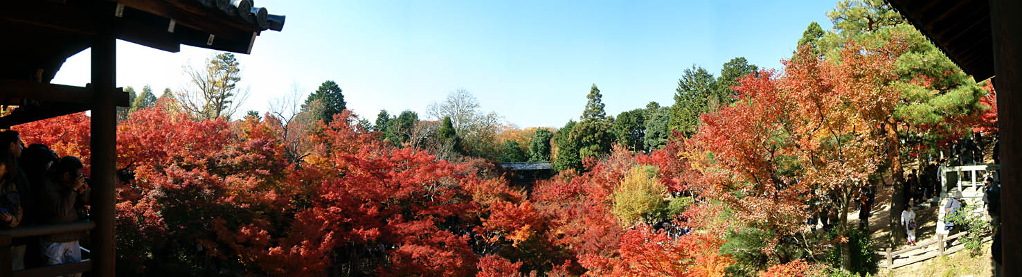 東福寺の紅葉「通天橋からの180度パノラマ写真」