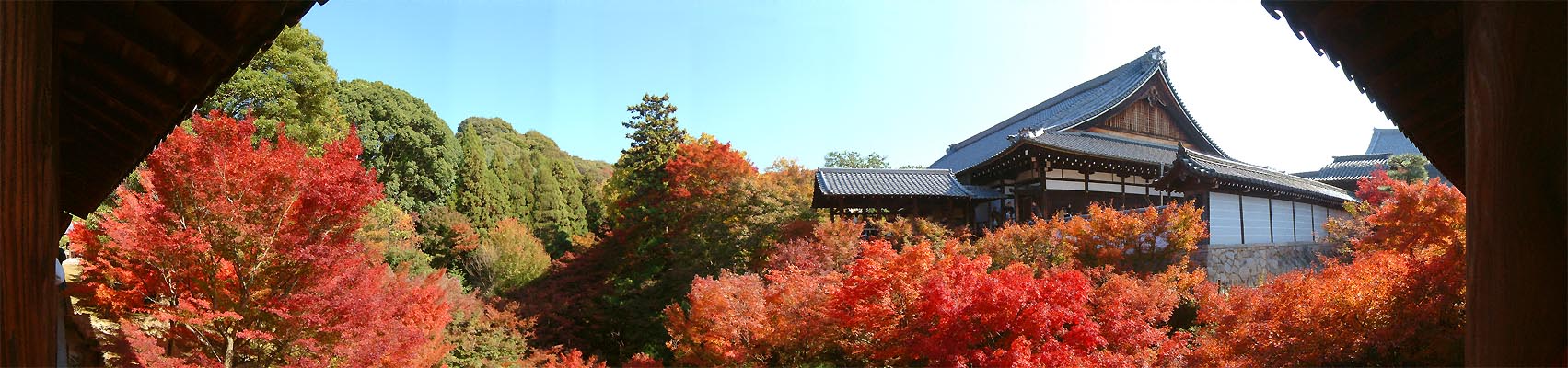 東福寺の紅葉「通天橋からの180度パノラマ写真(2)」 