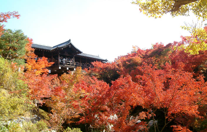 東福寺の紅葉「洗玉澗から通天橋を見上げる」