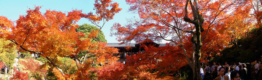 東福寺の紅葉「洗玉澗の紅葉と通天橋」