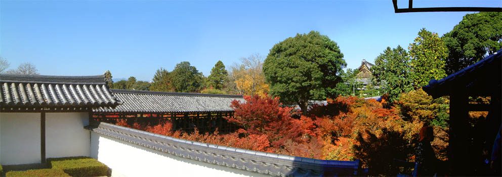 東福寺の紅葉「方丈から見た通天橋と紅葉」