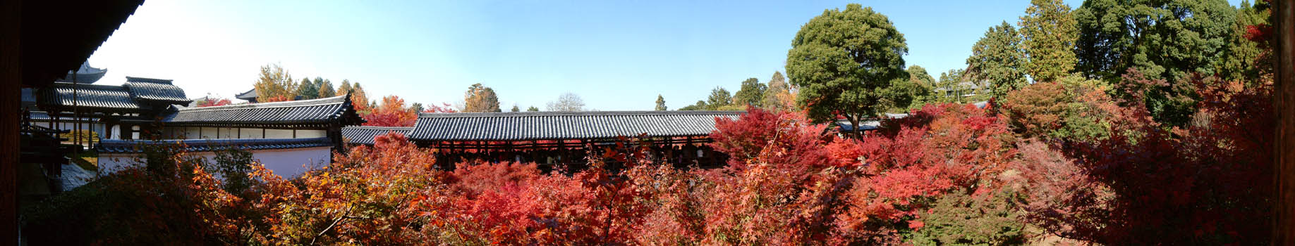 東福寺の紅葉「方丈から見た通天橋と紅葉(2)」